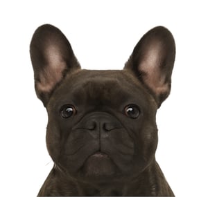 wechat_2025-10-30_152651_348