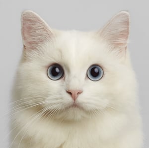 wechat_2025-10-30_164330_238